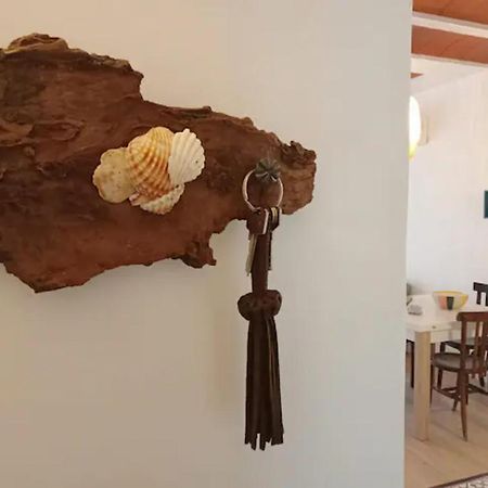 Can Llavi Διαμέρισμα Canet De Mar Εξωτερικό φωτογραφία